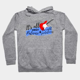 It's all about patience and the right pentatonics Hoodie